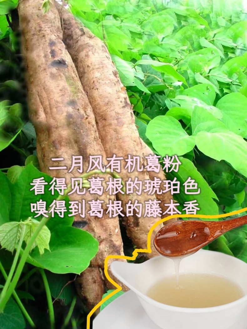 二月風(fēng)有機(jī)葛粉，看得見葛根的琥珀色，嗅得到葛根的藤本香_790.jpg