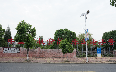 當(dāng)定制葛粉時，我們真正在選擇什么？