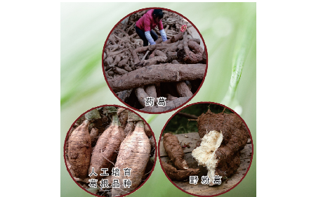 買葛粉是買野生的好？還是野生有機(jī)的好？