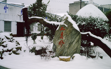 二月風(fēng)致老友：一碗葛根粉的牽掛，農(nóng)博會(huì)上的重逢之約二月風(fēng)盼老友：農(nóng)博會(huì)上，再續(xù)葛粉情緣
